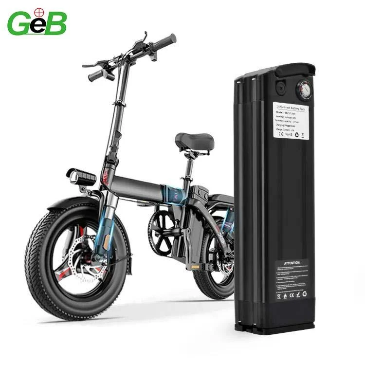 36V 1000W Baterai Ebike