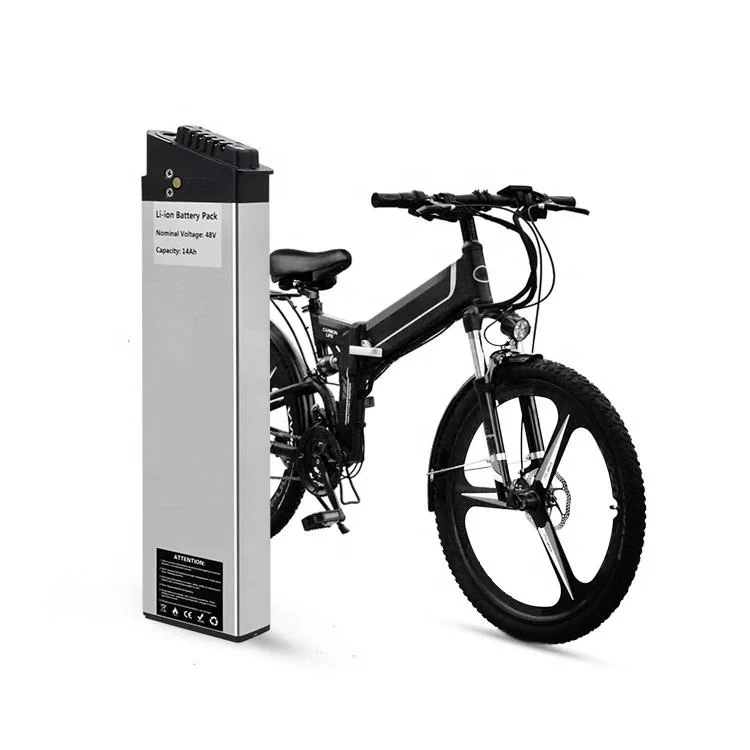 Baterai Ebike 48V 1000W