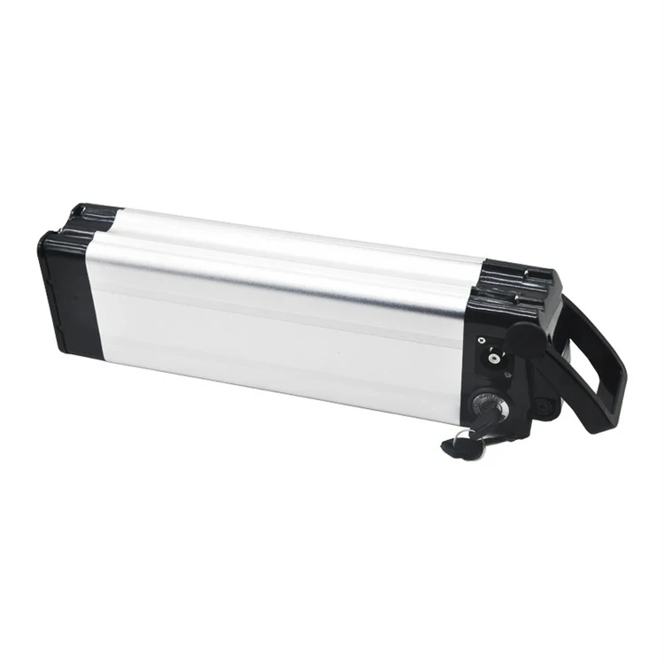 Baterai Lithium Ikan Gabus 48V