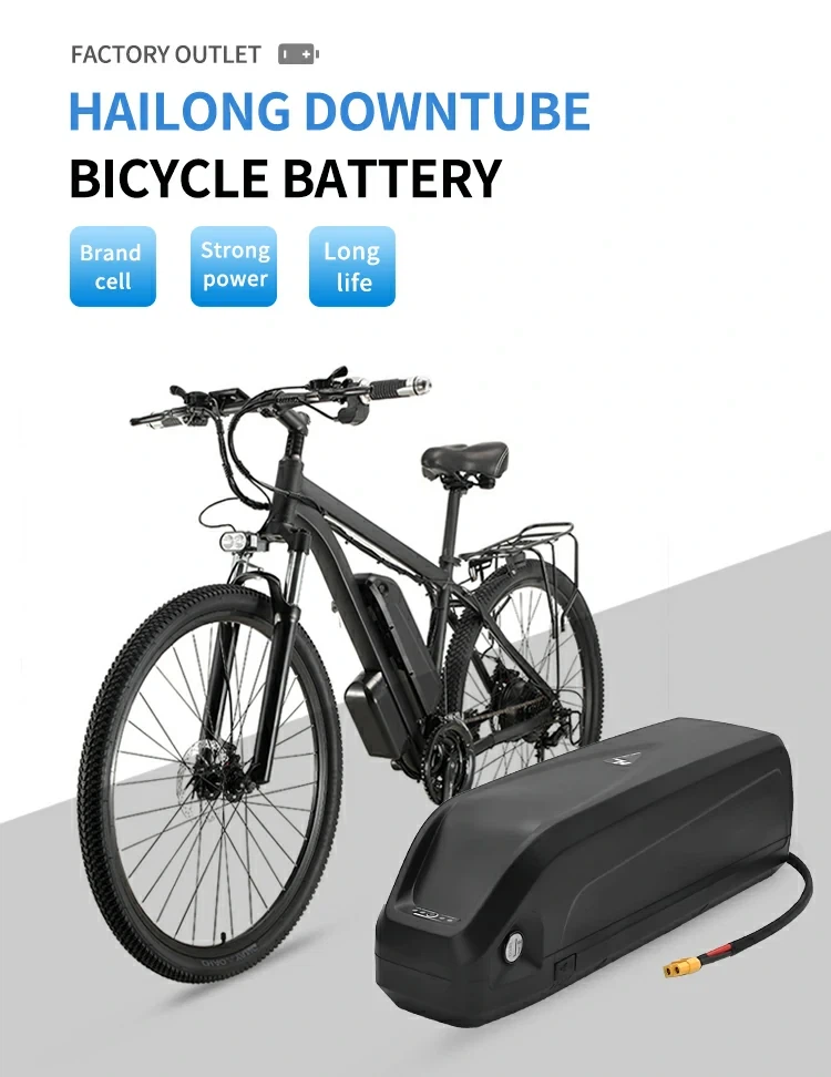 Panduan Pembeli Utama untuk Baterai E-Bike untuk 2025: Semua yang Perlu Anda ...