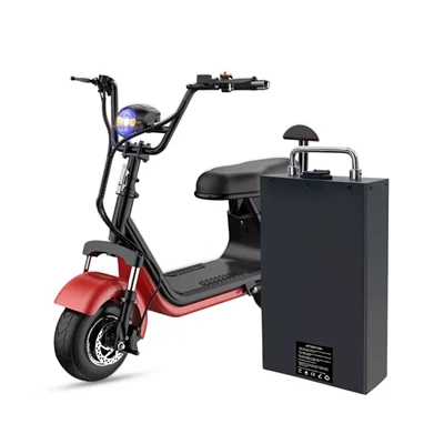 Customized Lithium Ion Ebike Battery Pack